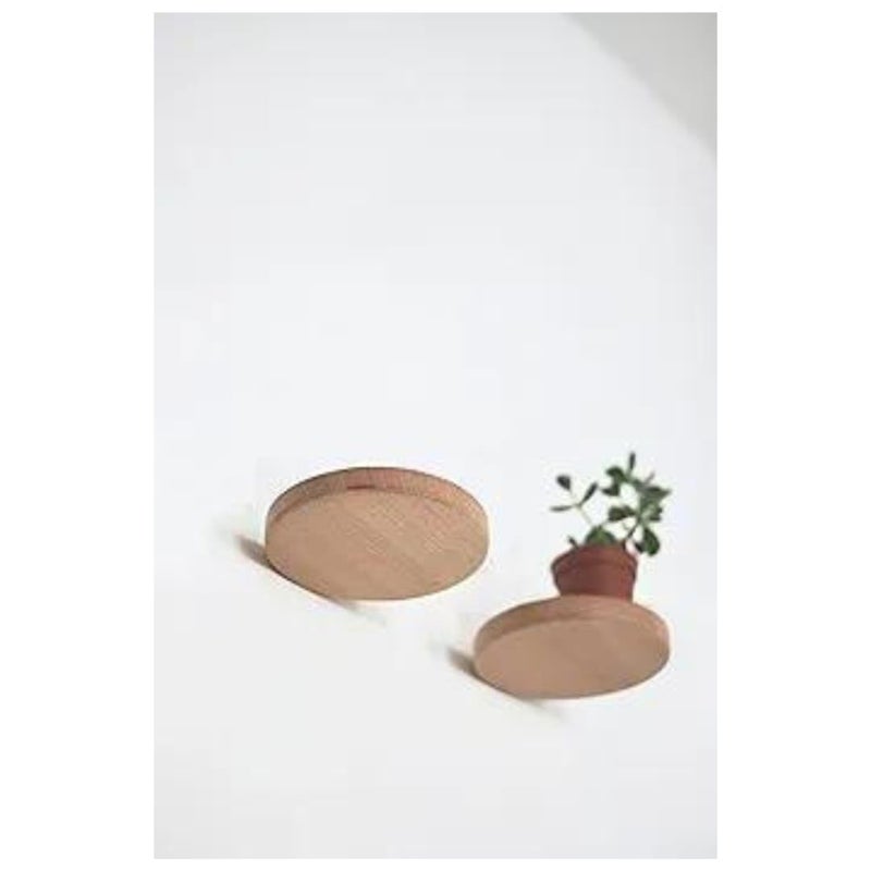 Crysellewoods 2 Floating Shelf Round Wall Mounted Showcase Hanging Planter Storage Wooden Shelf for Plants Photo Candle Soap Dish Invisible Wall Decoration Design Diameter 47 inch - Image 4