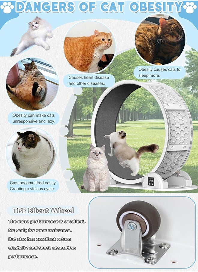 Garlo - Cat Exercise Wheel with Pedometer, 41” Cat Wheels for Indoor Cats,10 Minutes Fast and Easy Installation,Cat Wheel Exerciser with Silent Roller for Cat's Fitness & Health,Suitable for Most Cats - Image 1