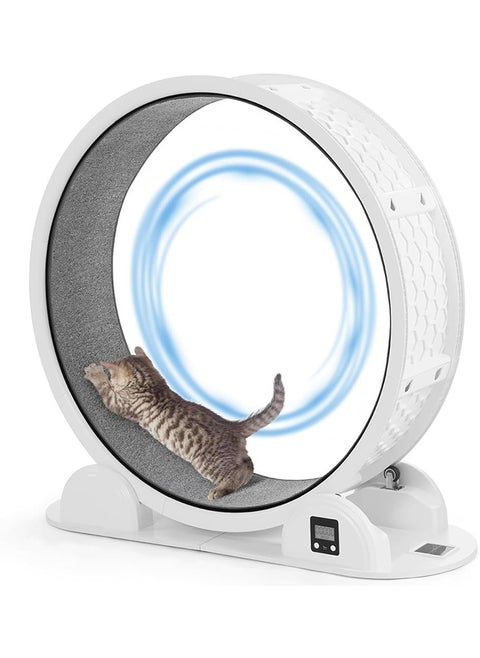 Cat Exercise Wheel with Pedometer, 41” Cat Wheels for Indoor Cats,10 Minutes Fast and Easy Installation,Cat Wheel Exerciser with Silent Roller for Cat's Fitness & Health,Suitable for Most Cats