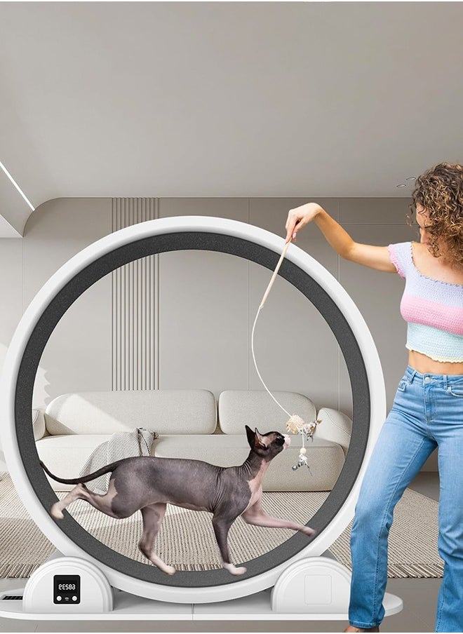 Garlo - Cat Exercise Wheel with Pedometer, 41” Cat Wheels for Indoor Cats,10 Minutes Fast and Easy Installation,Cat Wheel Exerciser with Silent Roller for Cat's Fitness & Health,Suitable for Most Cats - Image 1