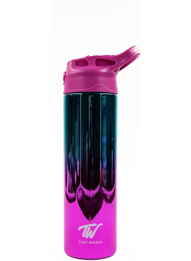 TINY WHEEL Stainless Steel Reflective Bottle 530 Ml Capacity Pink - Image 1