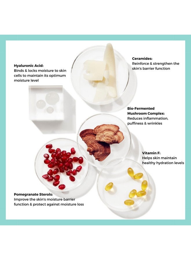 BeautyStat Probiotic 24Hr Moisture Boost Cream - Daily Moisturizer Face Cream With Probiotics, Ceramides, Hyaluronic Acid For Natural Anti Aging For Dull, Dry Skin, Fine Lines, Wrinkles (1.7Oz / 50Ml) - Image 5