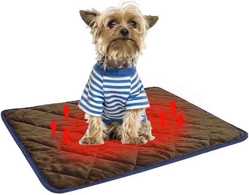 Self Heating Pet Mat Heated Warming Pad for Cats and Dogs 48x70cm Coffee Color with Blue Trim Thermal Insulated Bed Mat for Indoor and Outdoor Use - Image 5