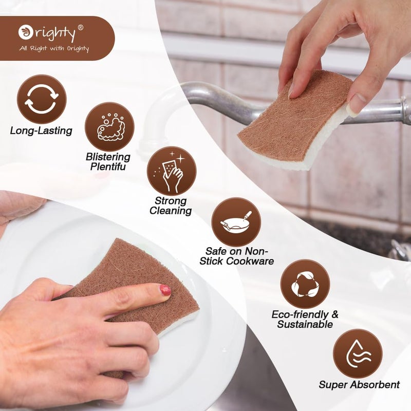 Orighty Non-Scratch Scrub Sponge, 24-Pack, Cellulose Kitchen Scrubber Sponges, Ideal for Kitchen Cleaning, Non-Stick Cookware, Washing Dishes, Bathroom, and Household - Image 4