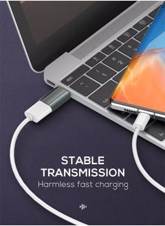 LDNIO محول OTG USB C إلى USB 3.0 A محول Type-C ذكر إلى USB 3.0 A أنثى محول Thunderbolt لأجهزة iPad Pro 2021 MacBook Samsung Note20 Ultra S21+ Huawei P40 رمادي  - Image 2