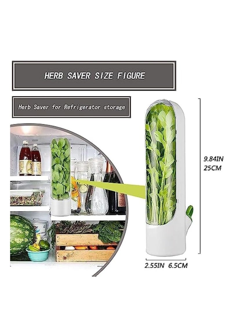 2 Pcs Herb Saver, Herbs Keeper for Refrigerator, Cilantro Storage Containers, Fridge Organizers and Storage, Herb Saver Pod Keep Fresh & Green Vegetables, Mint, Parsley, Asparagus - pzsku/ZBCBB0D343C5AC13A13DFZ/45/_/1719036896/43a5f9e8-067f-4c45-afde-bada93868dd5