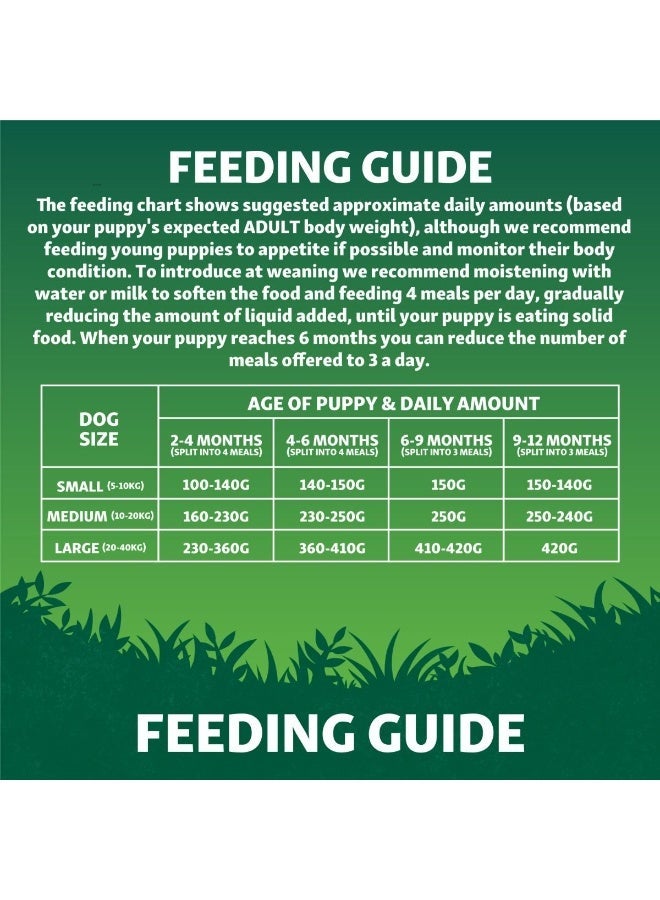 Harringtons Superfoods Salmon with Vegetables Adult Dry Dog Food 12 KG - Image 5