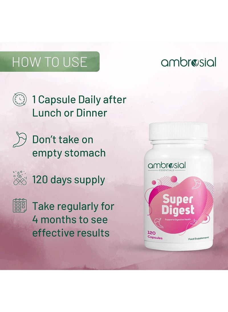 ambrosial Super Digest with Betaine hcl Pepsin, Ox-Bile, Pancreatin & L-Glutamic Acid Digestive Enzyme Supplements to Support Optimal Digestion & Gut Health (Pack of 1-120 Capsules)  - Image 2