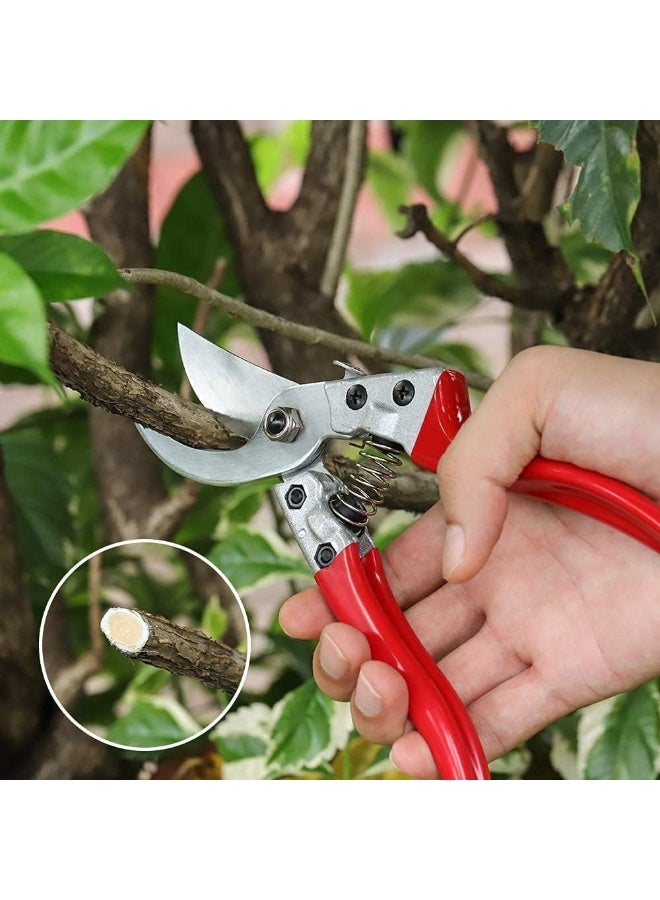 GREENLAWN Pruning Shears, Professional Bypass Garden Shear Hand Pruners Gardening Shears Clippers for Plants, Flower Cutter Florist Scissors Trimming - Image 1