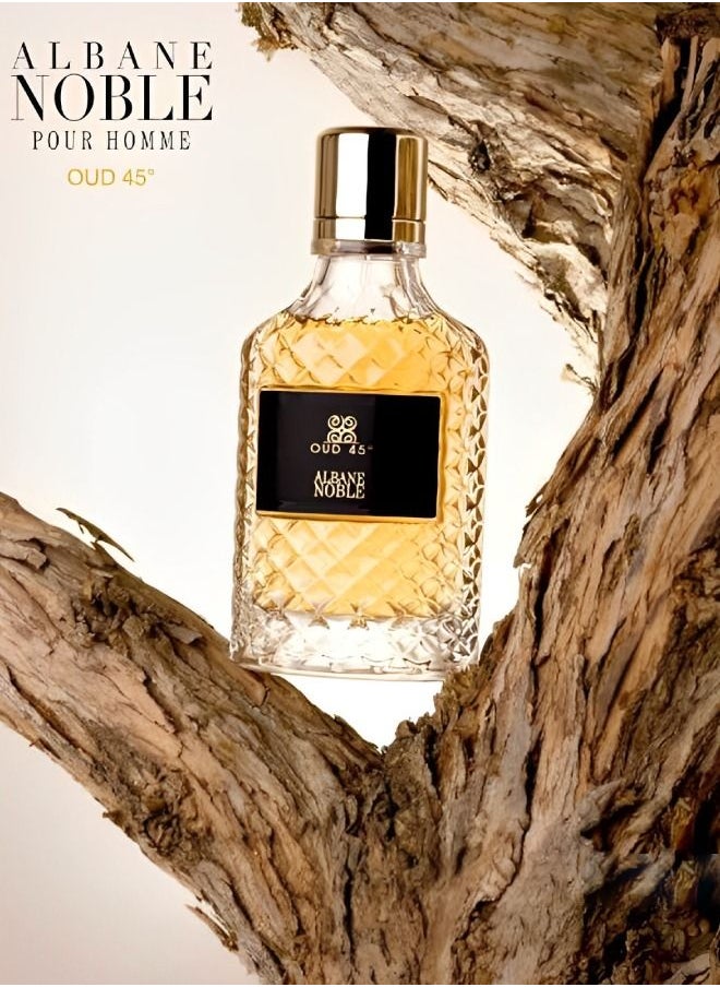 Oud 45 Perfume 100ml EDP