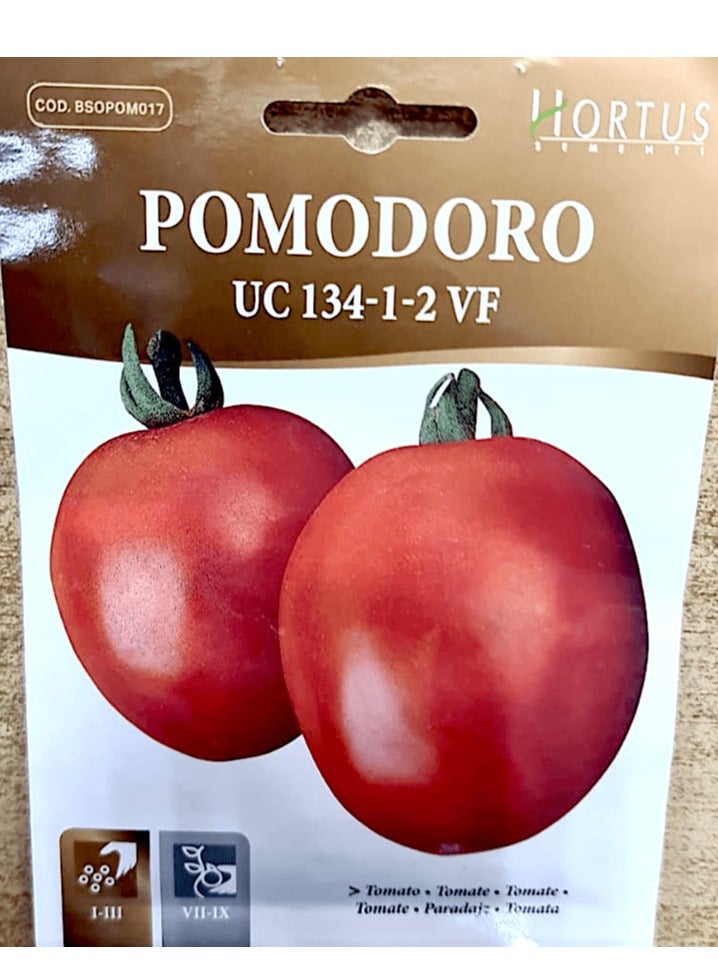 هورتس بذور خضروات الطماطم "Pomodoro UC 134 VF" من Hortus - Image 1