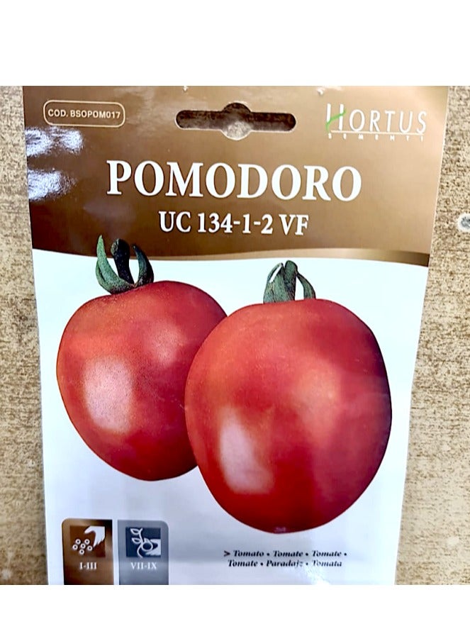 هورتس بذور خضروات الطماطم "Pomodoro UC 134 VF" من Hortus - Image 2