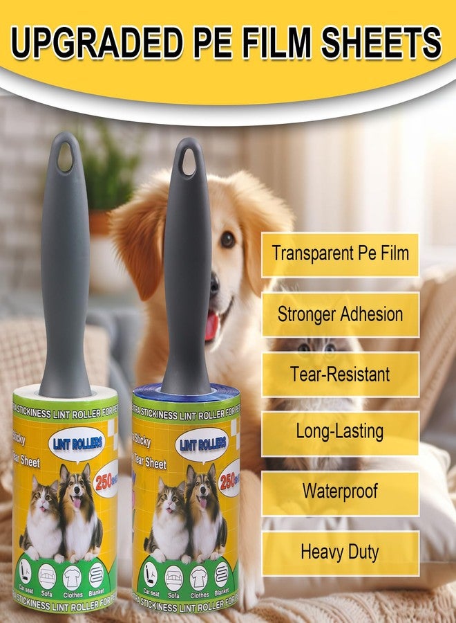 PackYard Lint Rollers 2 Pack for Pet Hair 500 Sheets Extra Sticky Pet Hair Remover for Clothes Furniture Carpet Cleaner Cars Dogs Travel-Friendly Grip Handle - Image 3