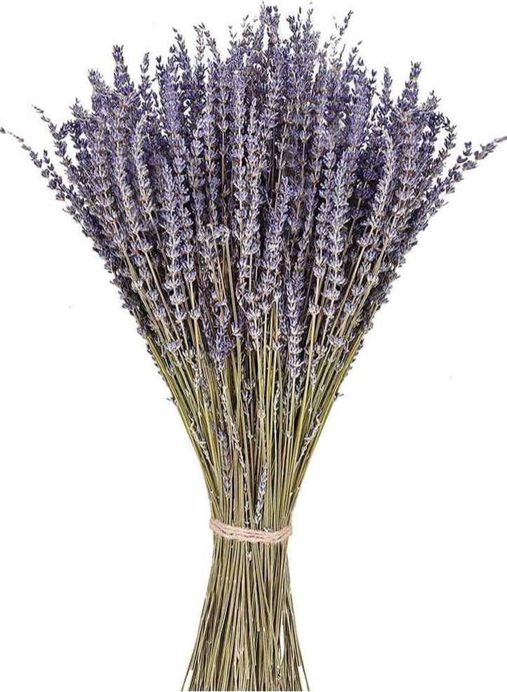 100Pcs Natural Dried Lavender Bouquet Decoration, 15.7 Inches Dried Flowers Bouquet for Wedding Home Office Table Kitchen Decoration - Image 1