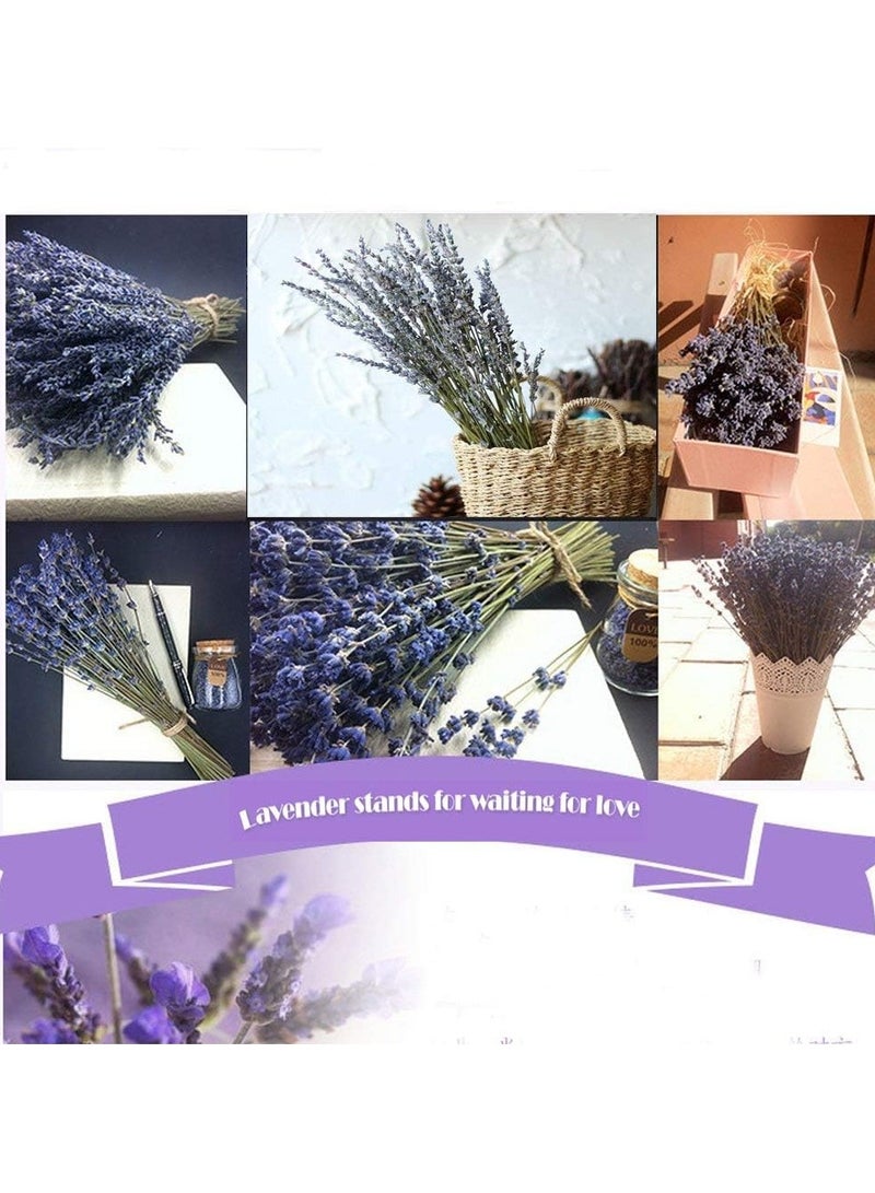100Pcs Natural Dried Lavender Bouquet Decoration, 15.7 Inches Dried Flowers Bouquet for Wedding Home Office Table Kitchen Decoration - Image 3