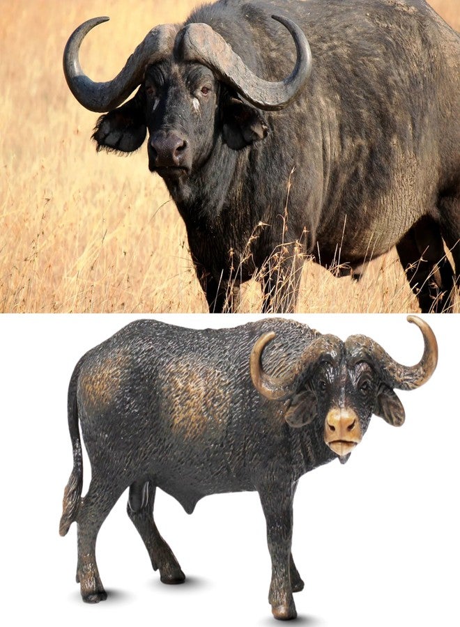 MALLEXO 2PCS Realistic Buffalo with Baby Calf Animal Toys for Kids 3+ | Attractive Cow Miniature Animals Action Figures Toy Set for Boys & Girls Birthday Gifts for Children Education | Decoration Item - Image 3