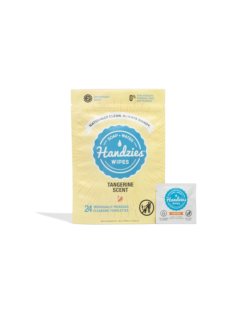 Handzies Natural Soap and Water Hand Wipes, Individually Packaged Singles, Tangerine 24ct 