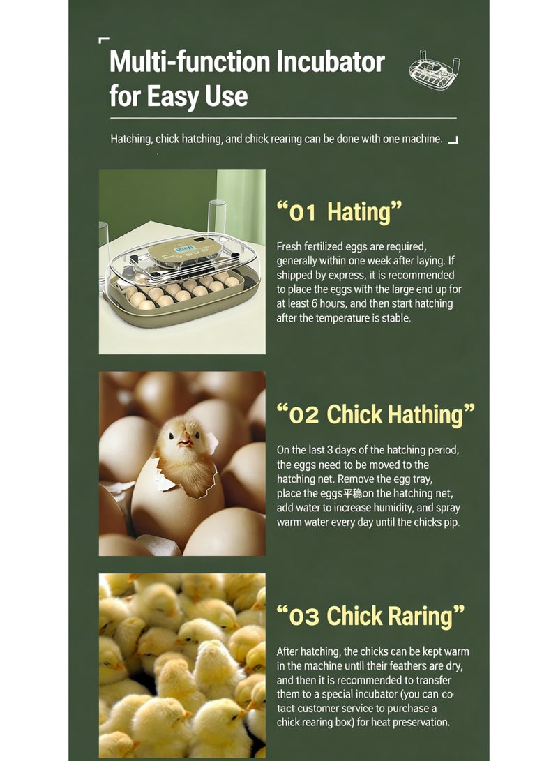 24 Egg Incubator,Automatic Digital Hatching Eggs with Fully Turner,Poultry Hatching Machine with Humidity Control Automatic Water Adding for Chicken Duck Quail Bird Eggs - Image 5