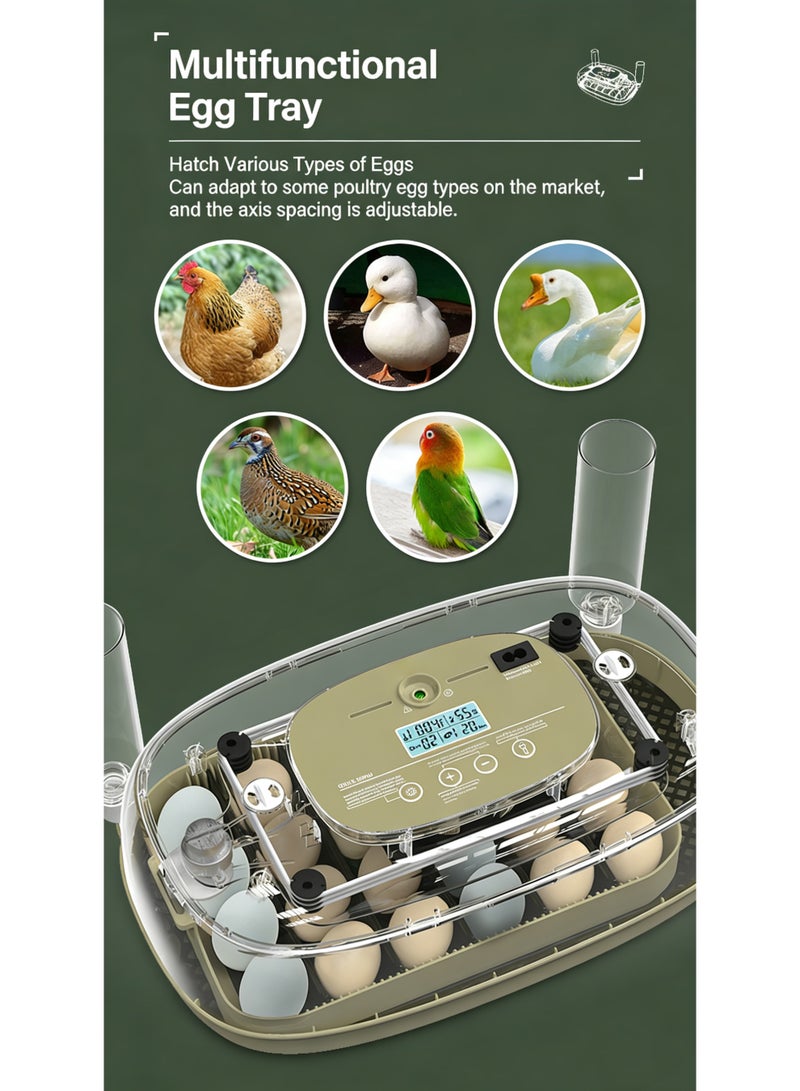 24 Egg Incubator,Automatic Digital Hatching Eggs with Fully Turner,Poultry Hatching Machine with Humidity Control Automatic Water Adding for Chicken Duck Quail Bird Eggs - Image 3