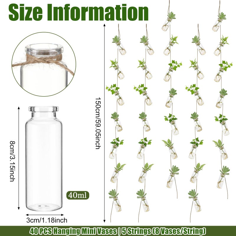 Ferrochef 40 Pcs Hanging Plant Propagation Jars Mini Glass Hanging Planters Glass Hydroponic Plant Cutting Bottles with Rope Window Wall Planter for Indoor Plants Home Decor - Image 2