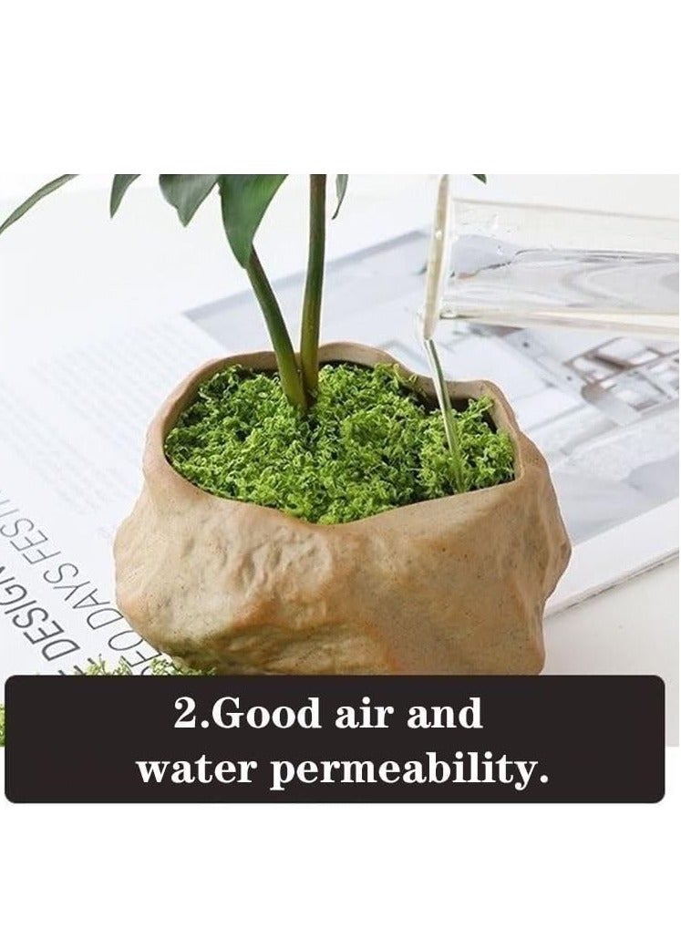 Sakina 200g Moss Grass, Artificial Moss, Fake Green Grass, Faux Moss, Indoor Planter Decor, Centerpiece Decorations, DIY Garden Projects, Preserved Forest Moss, Home Kitchen Garden Craft - Image 3