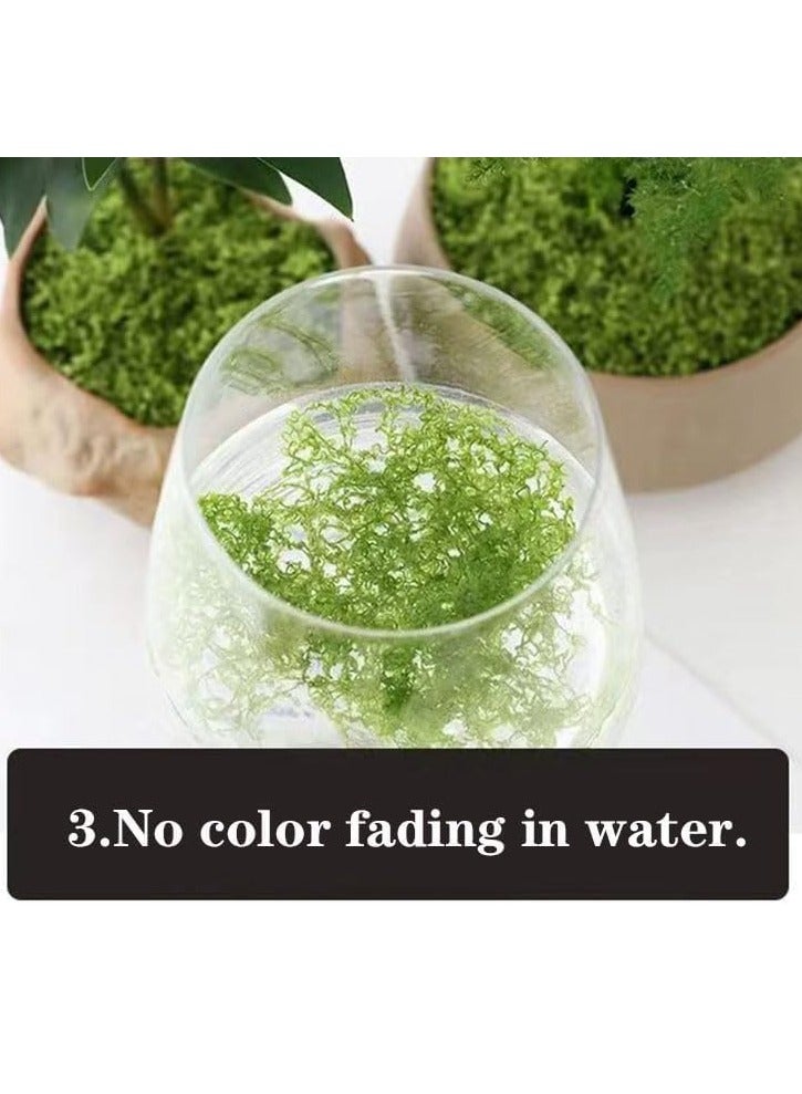 Sakina 200g Moss Grass, Artificial Moss, Fake Green Grass, Faux Moss, Indoor Planter Decor, Centerpiece Decorations, DIY Garden Projects, Preserved Forest Moss, Home Kitchen Garden Craft - Image 4