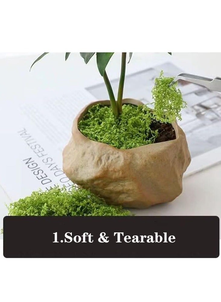 Sakina 200g Moss Grass, Artificial Moss, Fake Green Grass, Faux Moss, Indoor Planter Decor, Centerpiece Decorations, DIY Garden Projects, Preserved Forest Moss, Home Kitchen Garden Craft - Image 2