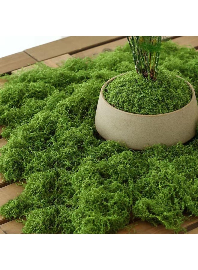 Sakina 200g Moss Grass, Artificial Moss, Fake Green Grass, Faux Moss, Indoor Planter Decor, Centerpiece Decorations, DIY Garden Projects, Preserved Forest Moss, Home Kitchen Garden Craft - Image 5
