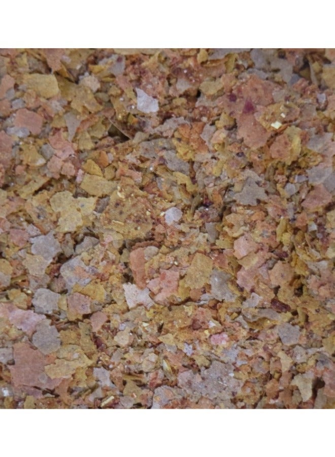 ايه بي آي رقائق للأسماك الاستوائية 1.1 أونصة - Image 3