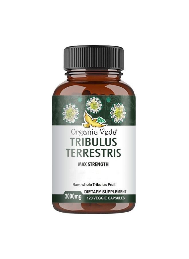 Organic Veda - Tribulus Terrestris Extract Capsules for Men - 22000mg -Tribulus Terrestris Supplements with Concentrated Moringa & Black Pepper - Energy & Stamina Booster - Non-GMO 120 Veggie Capsule - Image 1