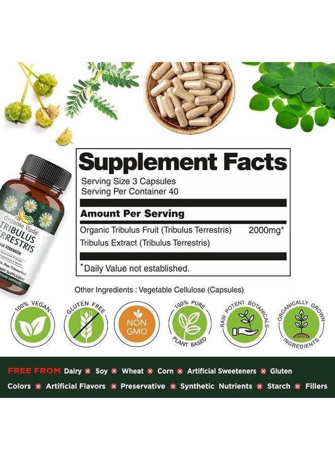 Organic Veda - Tribulus Terrestris Extract Capsules for Men - 22000mg -Tribulus Terrestris Supplements with Concentrated Moringa & Black Pepper - Energy & Stamina Booster - Non-GMO 120 Veggie Capsule - Image 1