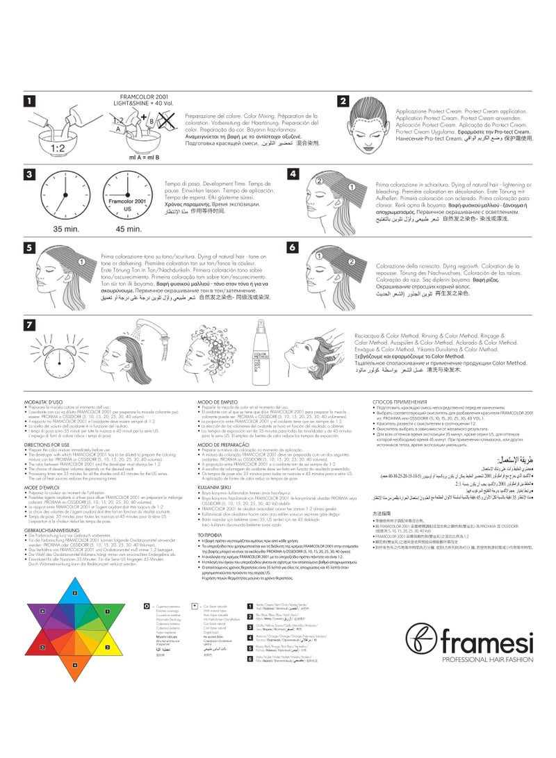 framesi FRAMCOLOR 2001 - Permanent Hair Colouring Cream 60 ML | US/B Ultra Lift Beige - Image 4