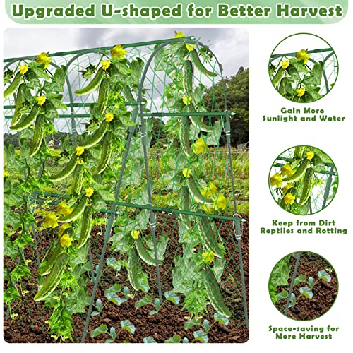 Tetutor Cucumber Trellis for Raised Beds, 63 x 45 Inch U-Shaped Garden Trellis for Climbing Plants Outdoors with Climbing Net, Metal Detachable Arch Plant Support Vegetable Trellis - Image 4