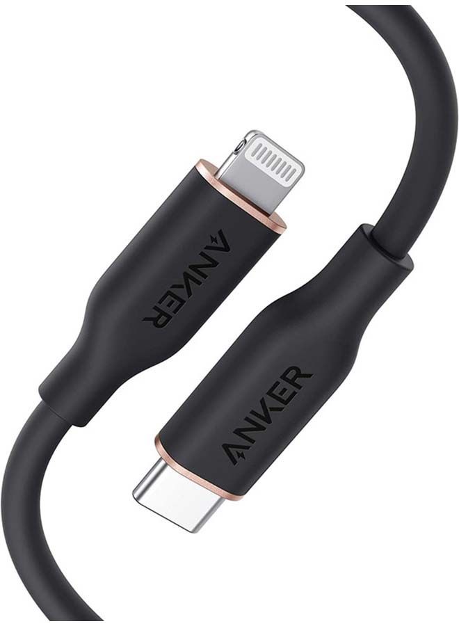 NIBEMINENT USB C To Lightning Cable Black/Silver - Image 1