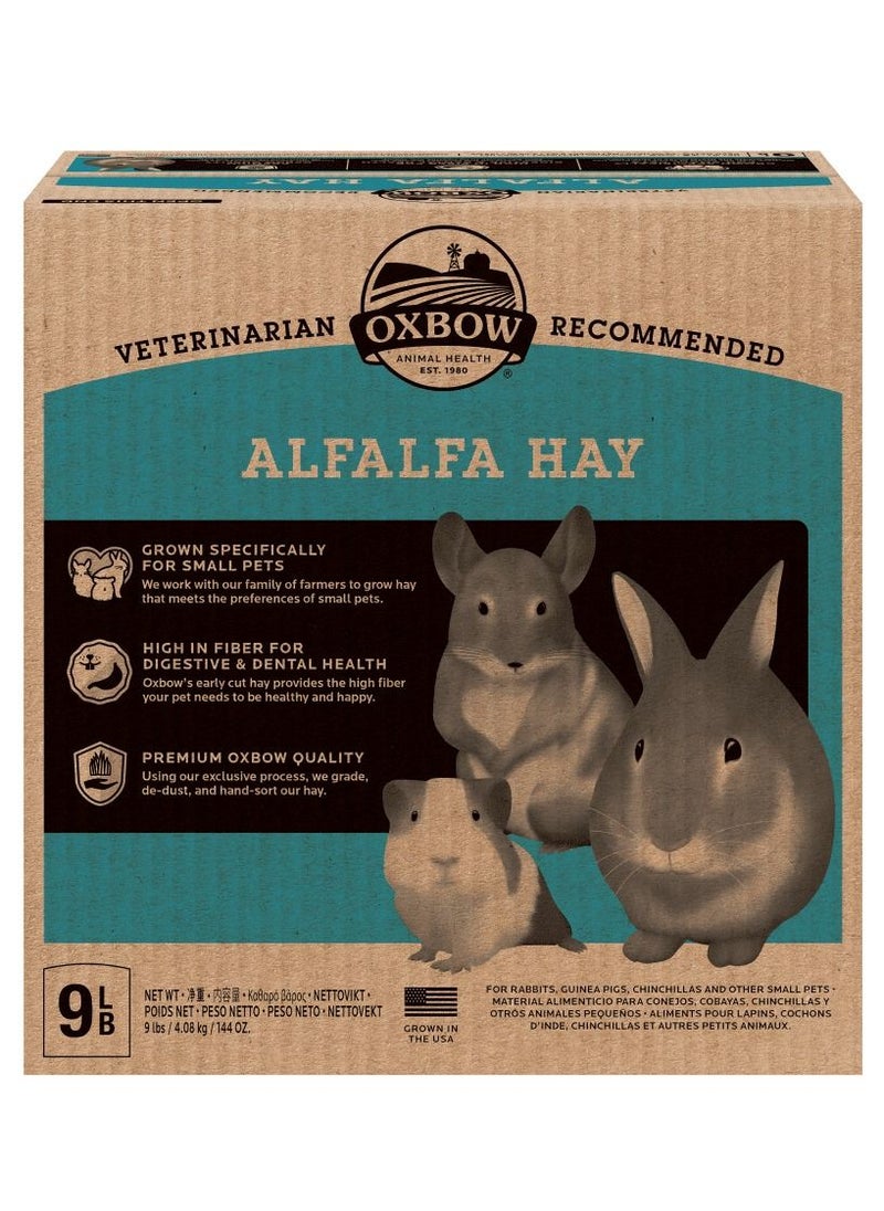 Alfalfa Hay for Small Pets 4.08 kg - pzsku/ZBCCA6DA4BA152A479B95Z/45/_/1687605487/f8c11a92-6be3-4d8a-b798-51fc2a5d5765