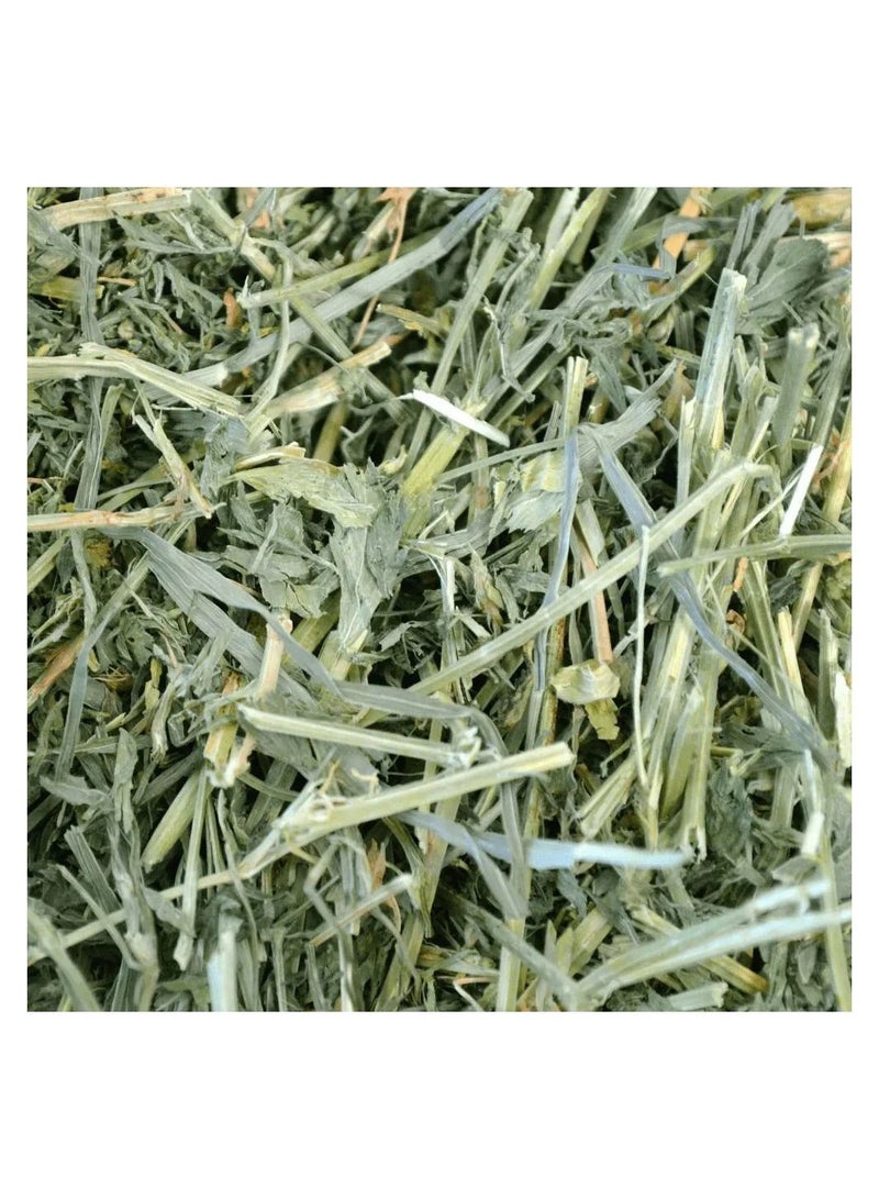 Oxbow Alfalfa Hay for Small Pets 4.08 kg - Image 2