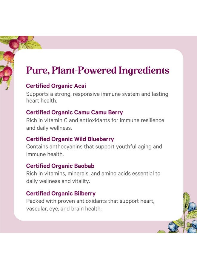 PURE SYNERGY Berry Power | Organic Berry and Fruit Powder | Antioxidant Supplement with Organic Acai, Camu Camu, and Wild Blueberry | for Healthy Aging, Immune, and Skin Support (5.3 oz Powder) - Image 5