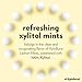 XyloBurst  Xylitol Mints  Sugar Free Breath Freshener for Oral Health  Gluten Free Vegan Keto Friendly  Aspartame Free  Lemon  275 Count - Image 4