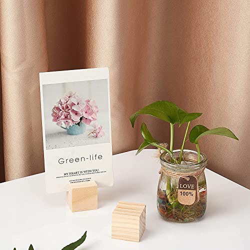 NJ OVERSEAS NJ Wood Card Holder Natural Beech Wood Table Number Holders (2x1.5x1.5 Inches), Wood Photo/picture Holders, Conference name card stand, buffet menu card holder : 12 Pcs Set - Image 5