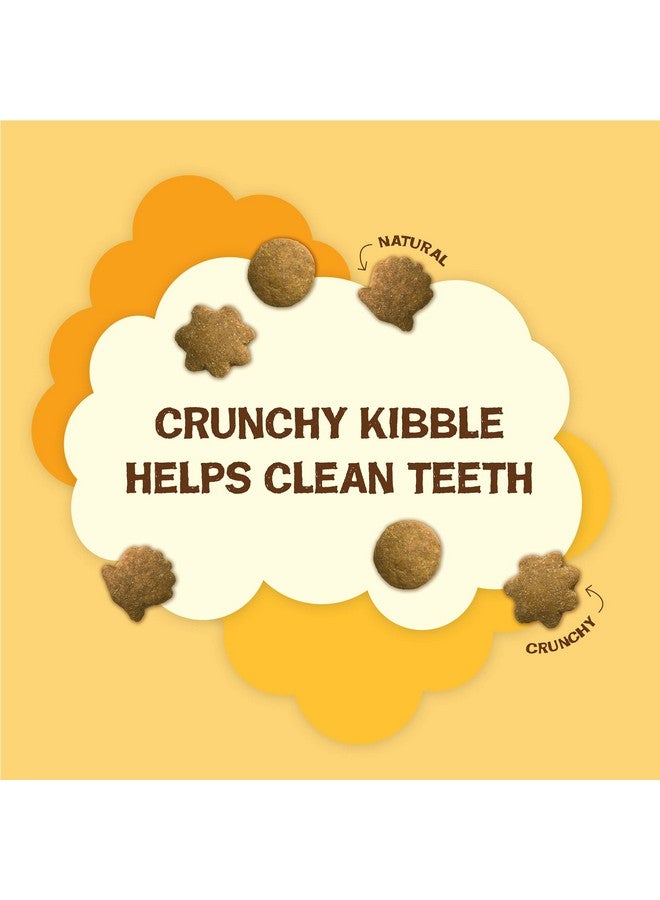 Friskies Purina Friskies Natural Cat Treats, Party Mix Natural Yums With Real Chicken & Vitamins, Minerals & Nutrients - Image 3