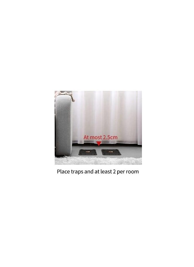 LULU CATCH Mouse & Insect Traps 12 Pack, Heavier Sticky Traps with Non-Toxic Glue for Small Mice & Insects. Sticky Mouse Traps Indoor, Easy to Set, Safe to Children & Pets  - Image 3