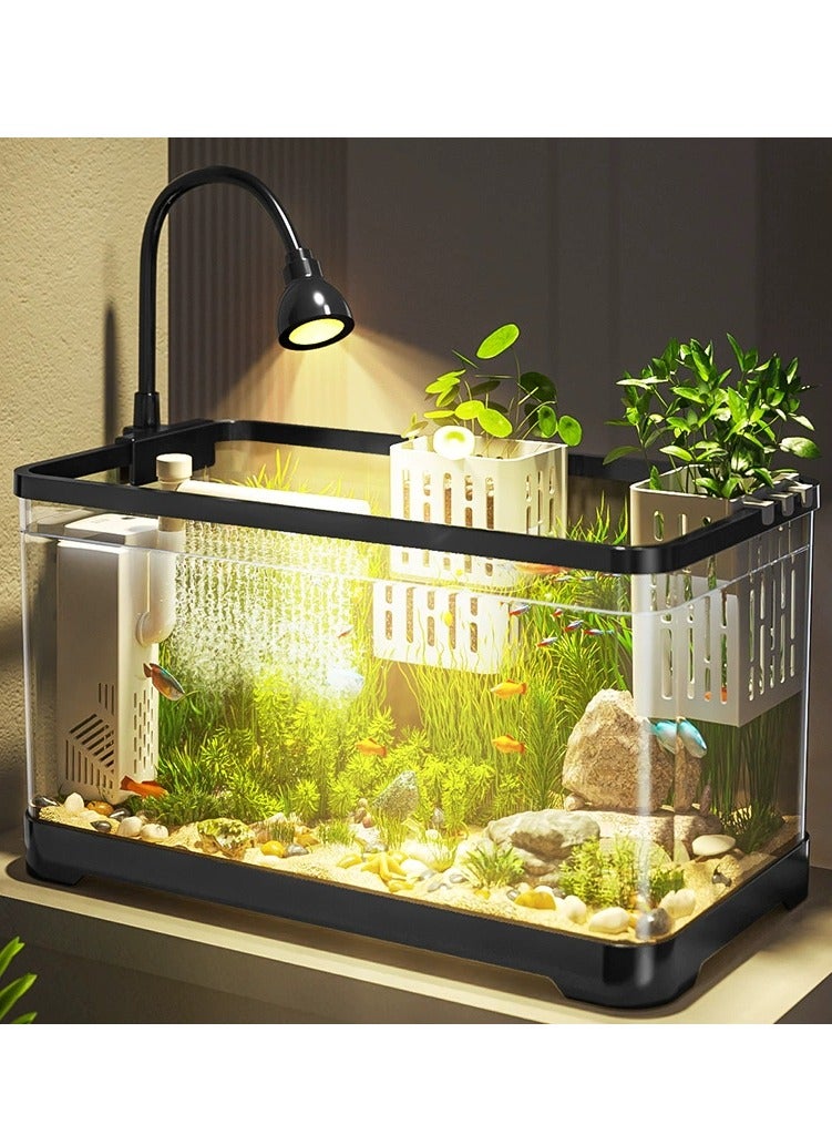 Fish Tank Kit Glass Fish Bowl with Oxygen Air Pump，Filter，Light，Plants Holder，Pebbles，Scallop Shells for Home  Aquarium（38.8*21.5*21.2cm)M  - Image 3