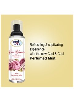 Rose Blossom Perfumed Body Mist 250ml, Long-lasting Fragrance, Suitable for everyday use - pzsku/ZBCD67D61DCACAA68046AZ/45/_/1699276162/27d74de6-97d9-4d86-897b-0760e6a172e1