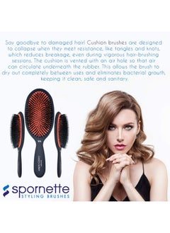 Spornette Large Luxury Cushion Boar And Nylon Bristle Oval Hair Brush (#Lx-1) With A Soft Satin No-Slip Handle Best Used For Styling, Smoothing All Hair Types, Wigs And Extensions For Women And Men  - Image 5
