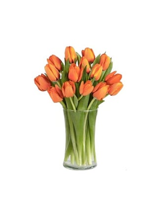 Royal Orange Tulips - pzsku/ZBCD702B7EA4FAFFD6B66Z/45/_/1729574773/b21e29df-1d6e-40d7-8ae2-8043e589a1a9