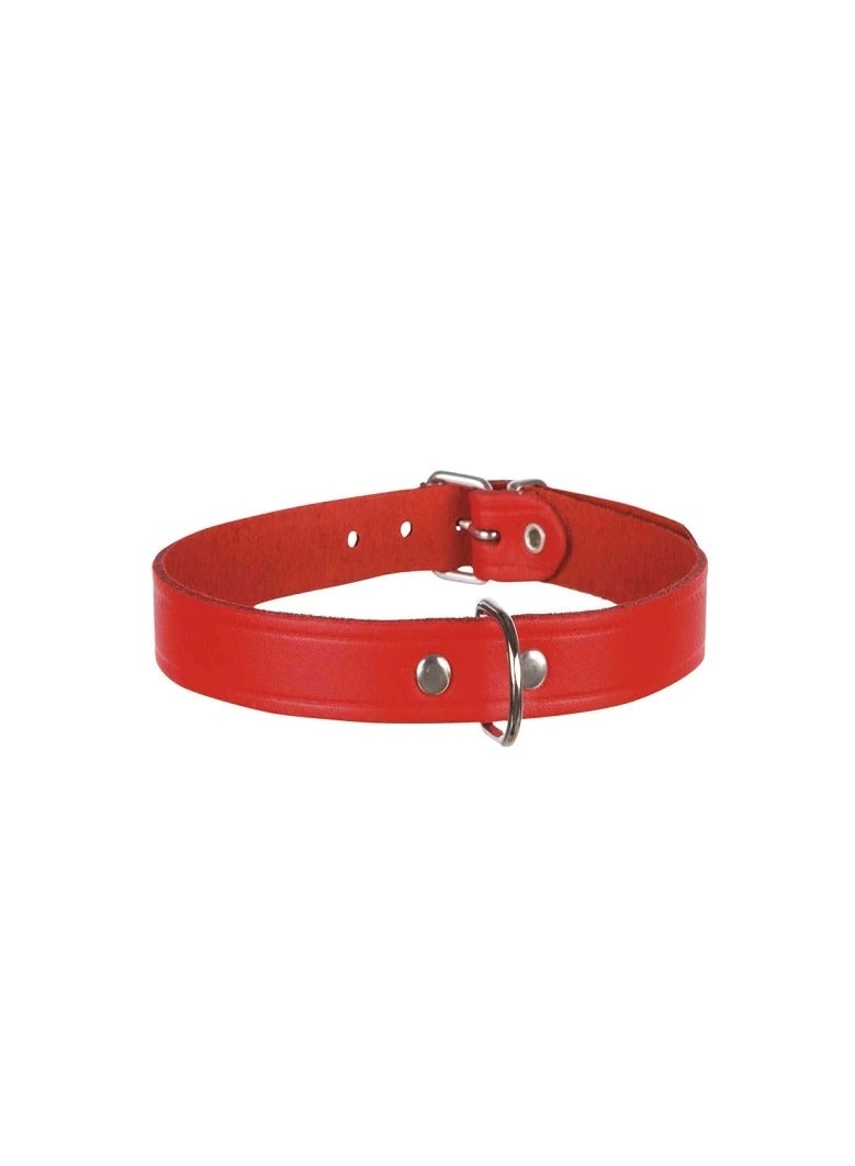 Trixie Basic Red Leather Collar For Dogs - Image 2