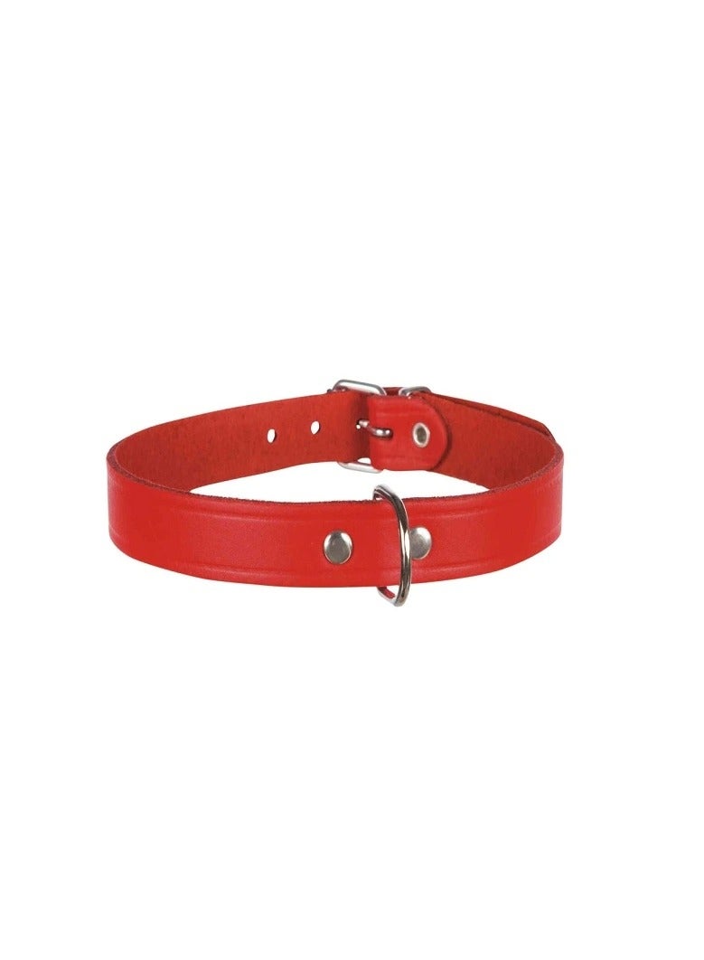 Trixie Basic Red Leather Collar For Dogs - Image 1