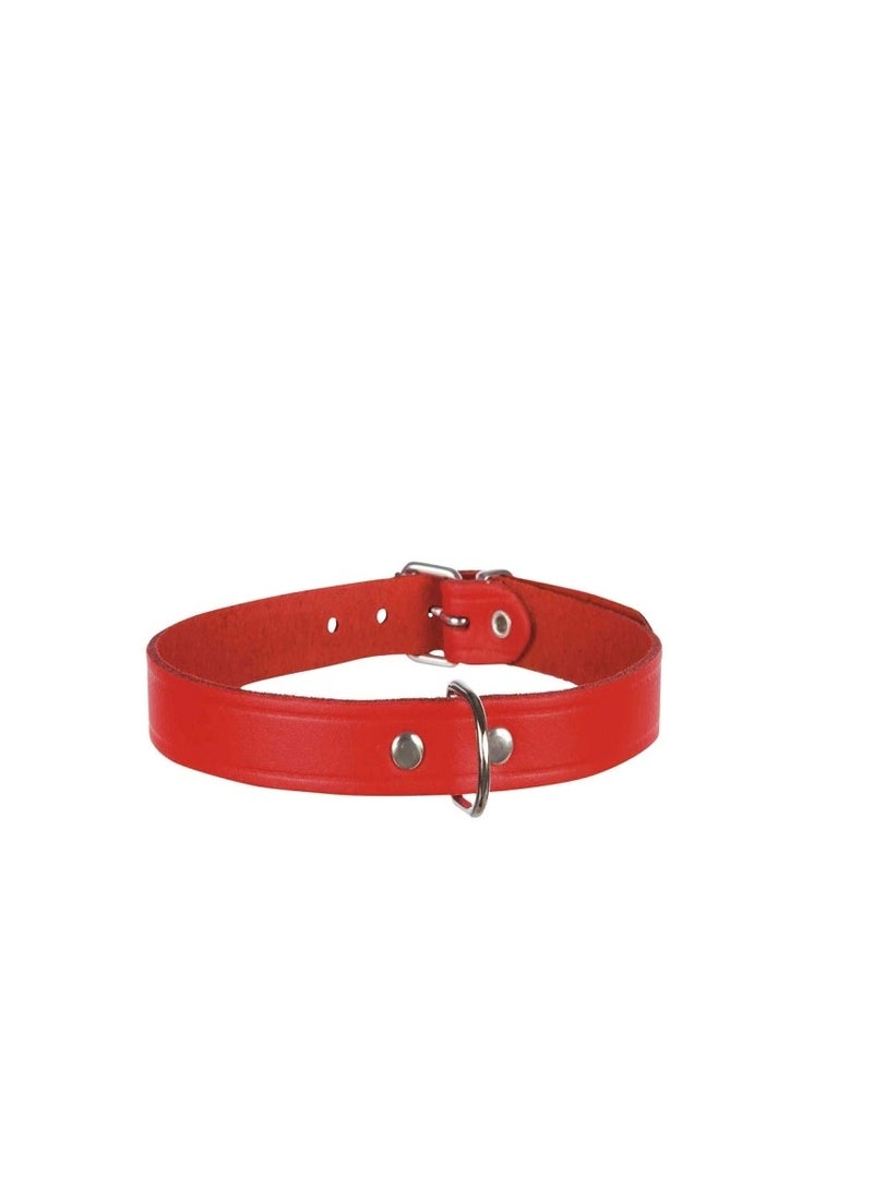 Trixie Basic Red Leather Collar For Dogs - Image 3