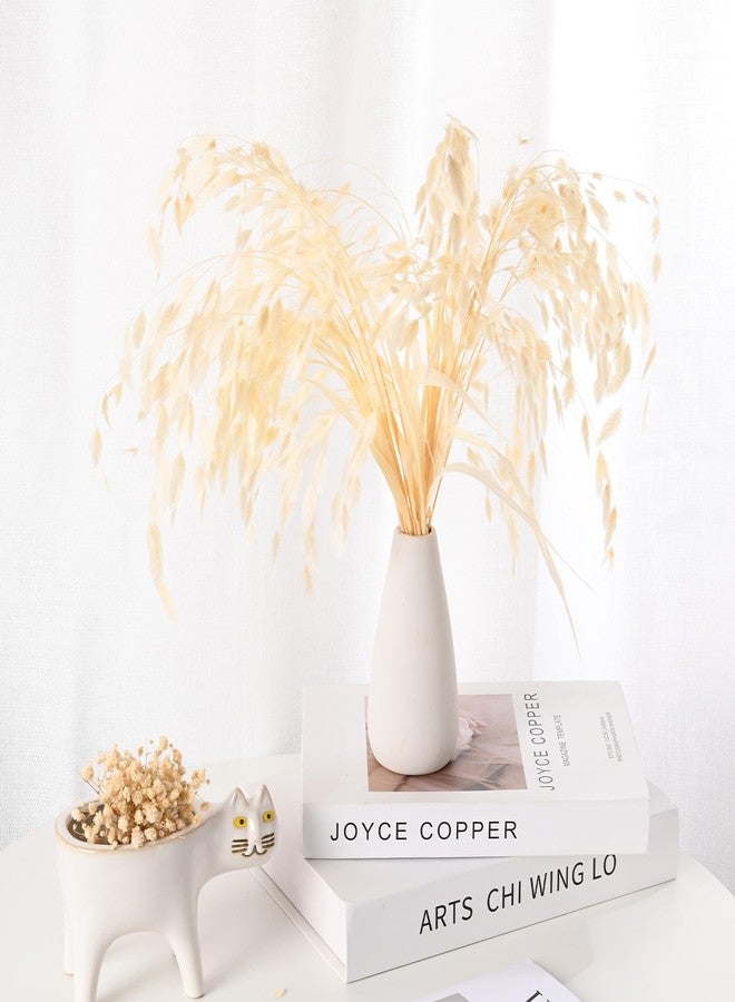 مجموعة M METERXITY المكونة من 20 قطعة من العشب المجفف، باقة زهور تشاسمانثيوم مجففة بطول 17 بوصة، عشب الشوفان المجفف لملء المزهريات / ديكور المنزل، تنسيق الزهور المجففة، نبات حقيقي مع سيقان خضراء [أبيض كريمي] - Image 2