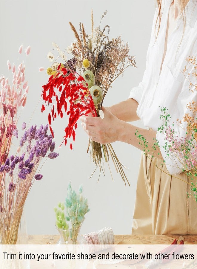 مجموعة M METERXITY المكونة من 20 قطعة من العشب المجفف، باقة زهور تشاسمانثيوم مجففة بطول 17 بوصة، عشب الشوفان المجفف لملء المزهريات / ديكور المنزل، تنسيق الزهور المجففة، نبات حقيقي مع سيقان خضراء [أبيض كريمي] - Image 5